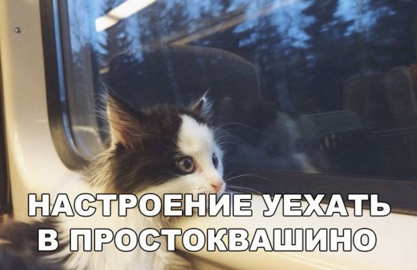 Настроение уехать в Простоквашино