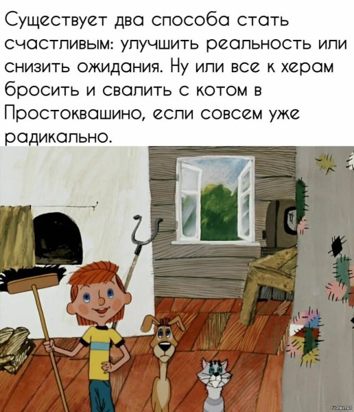 Кошачье дело