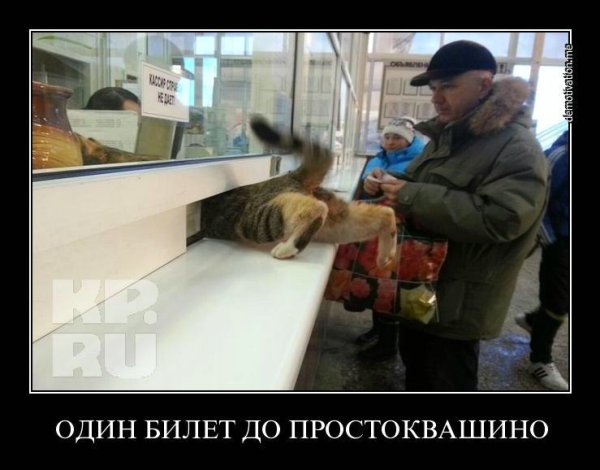 А Я все чаще замечаю что меня как будто кто то задолбал