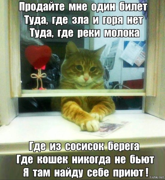 Кот в поезде