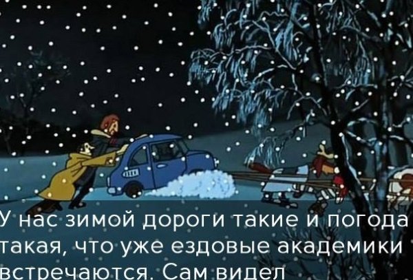 Выбирай или я или кот