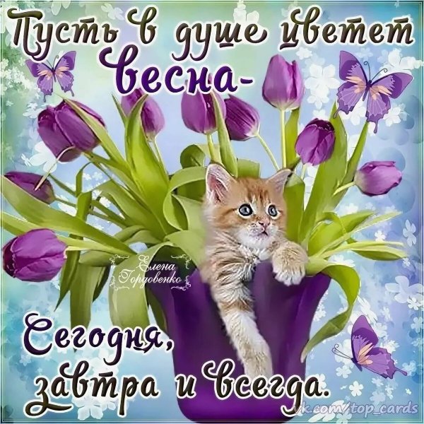 Весеннее настроение