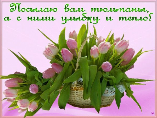 Весенние букеты с пожеланиями