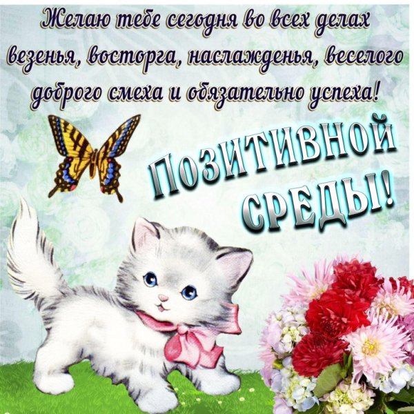 Открытки со средой