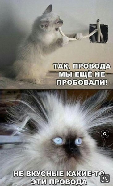 Смешные картинки с надписями