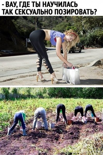 Картинки с приколами для поднятия настроения