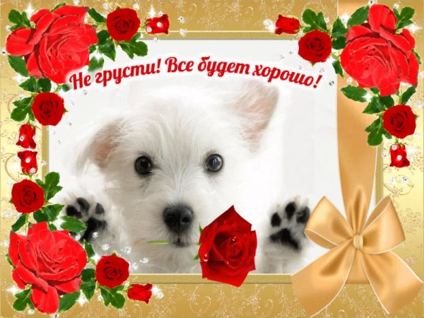 Не грусти