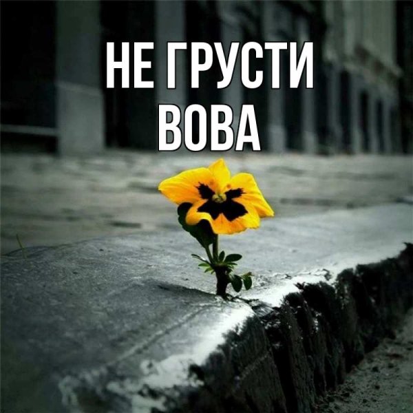 Картиночки не грусти