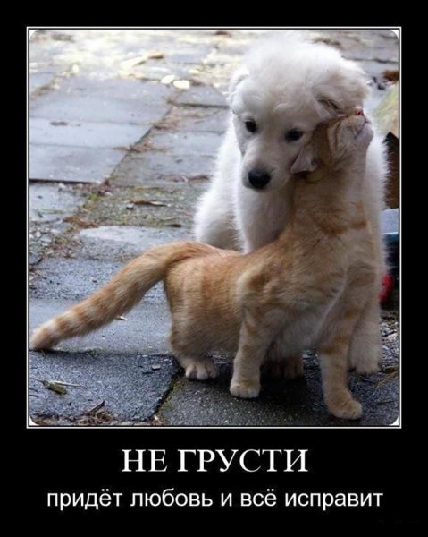 Не грусти