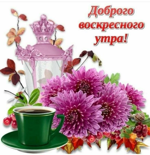 С добрым воскресным утром