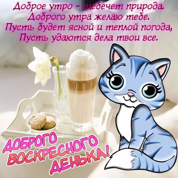 С добрым воскресным утром