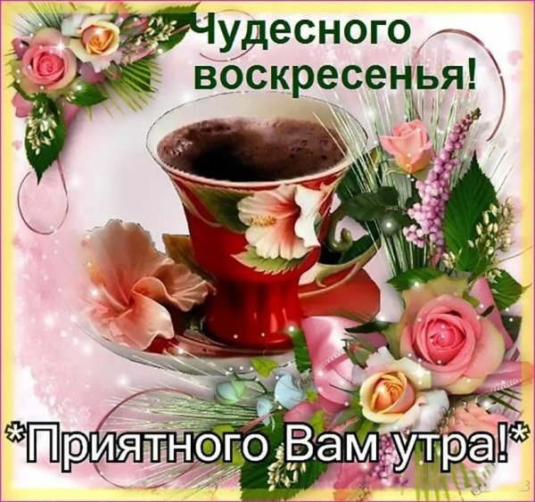 С добрым воскресным утром