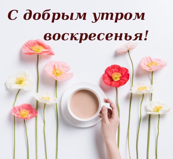 Пожелания с добрым воскресным утром