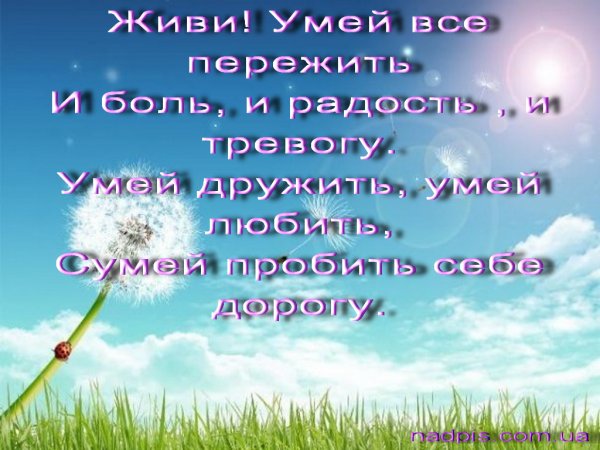 Поздравления с днём рождения сыну от мамы