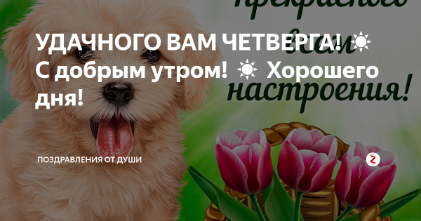 Четверг доброе утро и хорошего дня