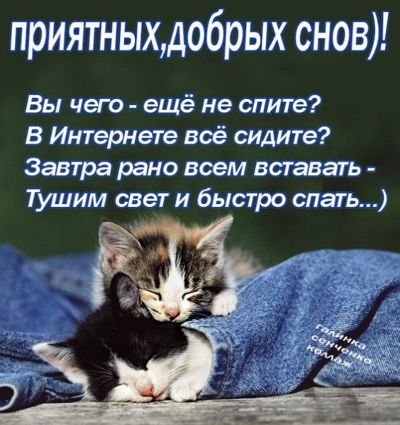 Спокойной ночи