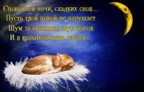 Спокойной ночи сладких снов