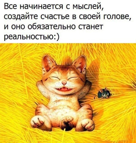 Веселые мысли для поднятия настроения