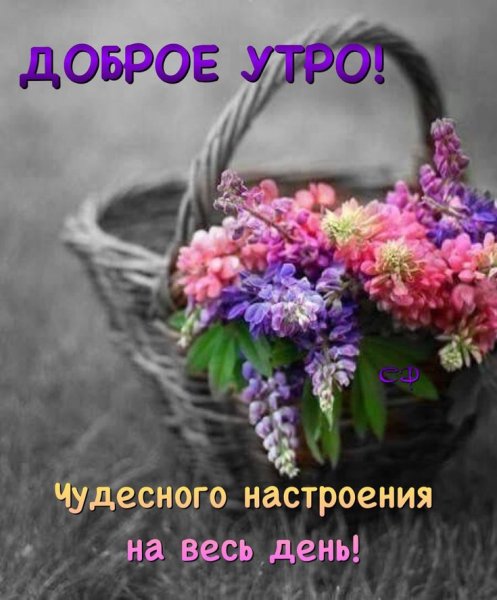 Доброе утро спасибо