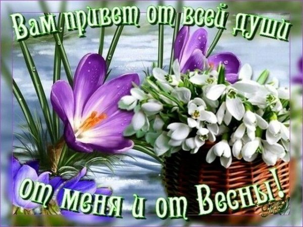 Весенний привет открытки