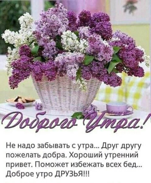 Цветы сирени с добрым утром