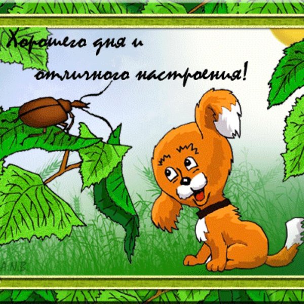 Весёлые пожелания на день