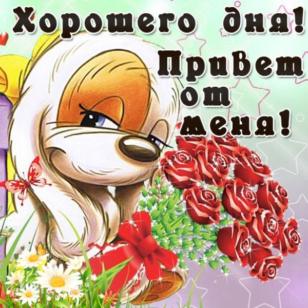 Хороший день