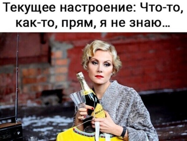 Мемы с котами