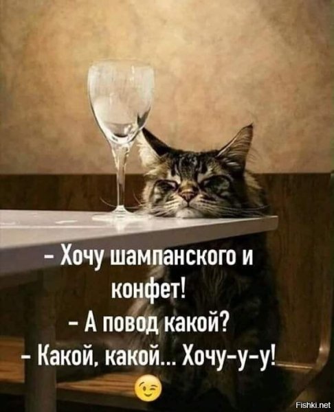Кот который нюхал клей Мем