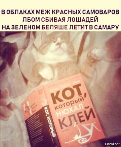 Новогодний кот с шампанским