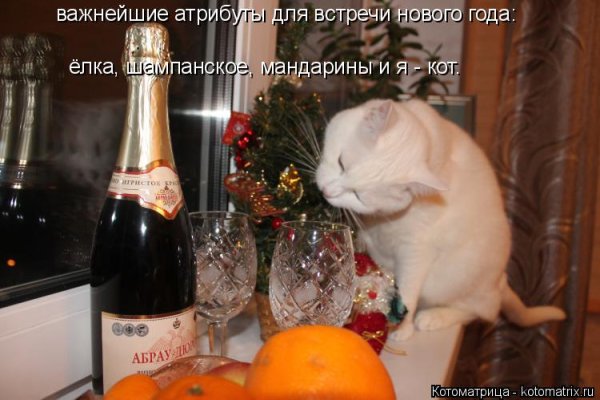Хочется бокал вина