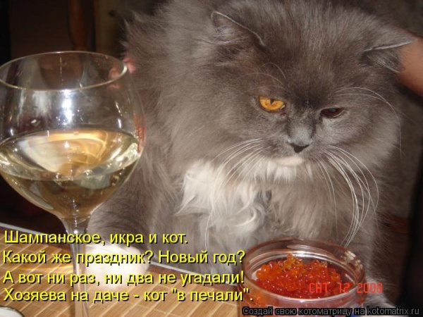 Устала хочу шампанского