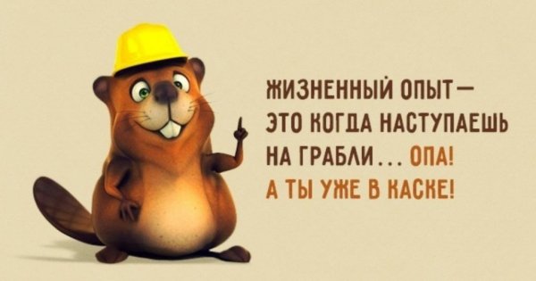 Позитивные цитаты про работу
