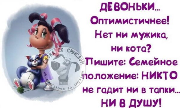 Смешные высказывания о жизни для поднятия настроения
