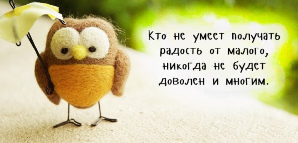 Цитаты о радости смешные
