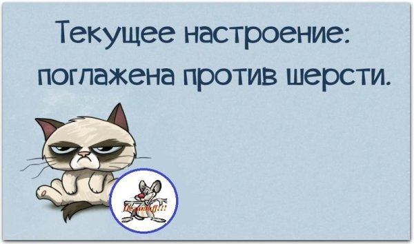 Статус про плохое настроение