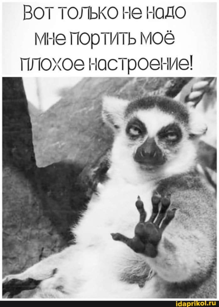 Вот только не надо мне портить мое плохое настроение