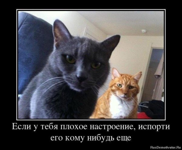 Шутки про плохое настроение