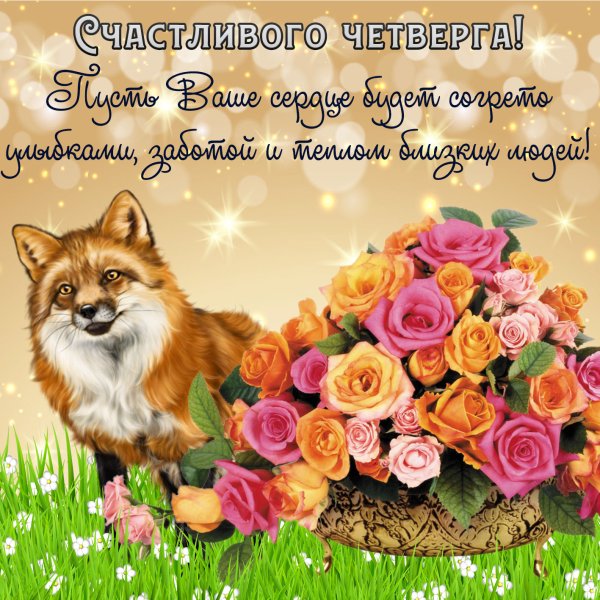 Доброе утро четверга