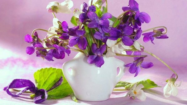 Утренняя сирень