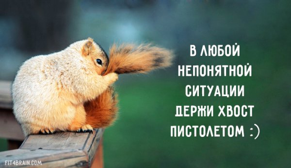 Хвост пистолетом