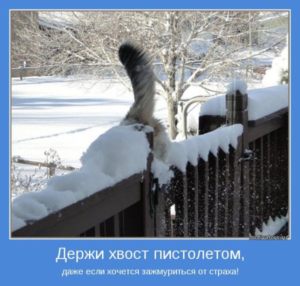 Позитивные мотиваторы прикольные