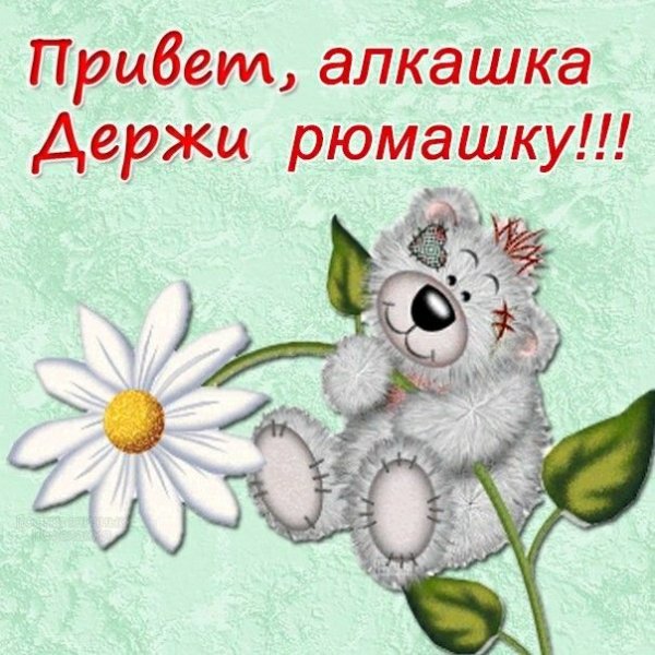 Привет ромашки