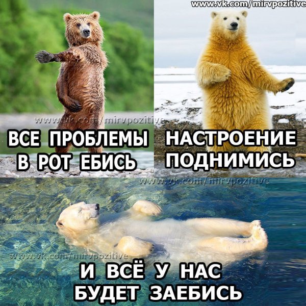 Мемы для поднятия настроения