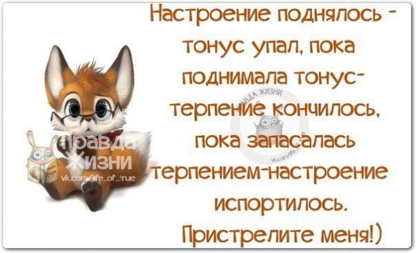 Высказывания о настроении со смыслом