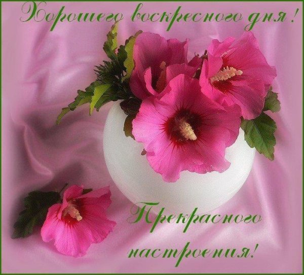 Отличного воскресного дня