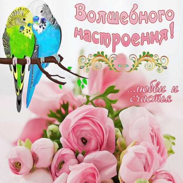 Открытка "хорошего настроения"