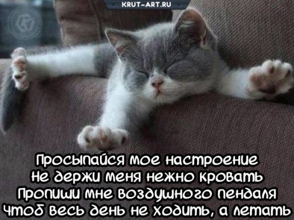 Просыпцмя мое настроение