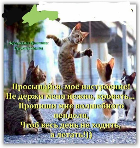 Настроение цитаты