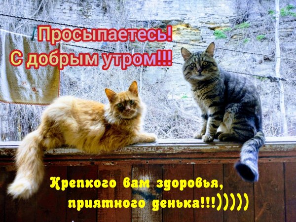 Просыпайся с добрым утром